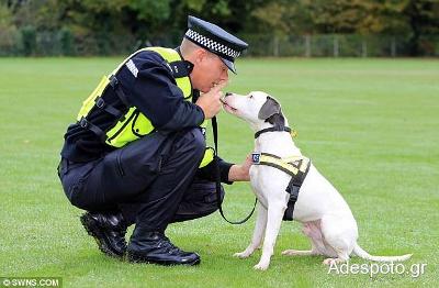 to-prwto-staffie-pou-ginetai-skyli-tis-astynomias2